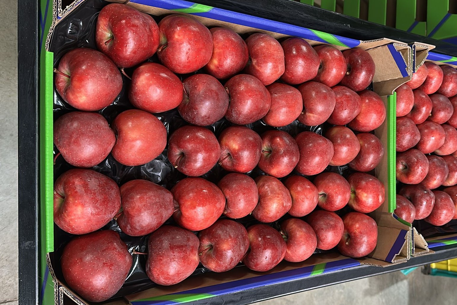 whatsapp image 2026 03 29 at 11.28.38 ls