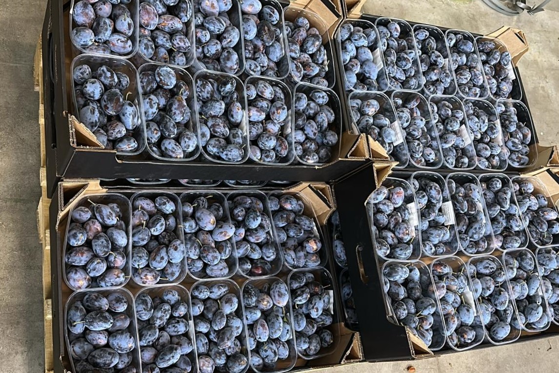 whatsapp image 2026 03 29 at 11.38.04 (2) ls