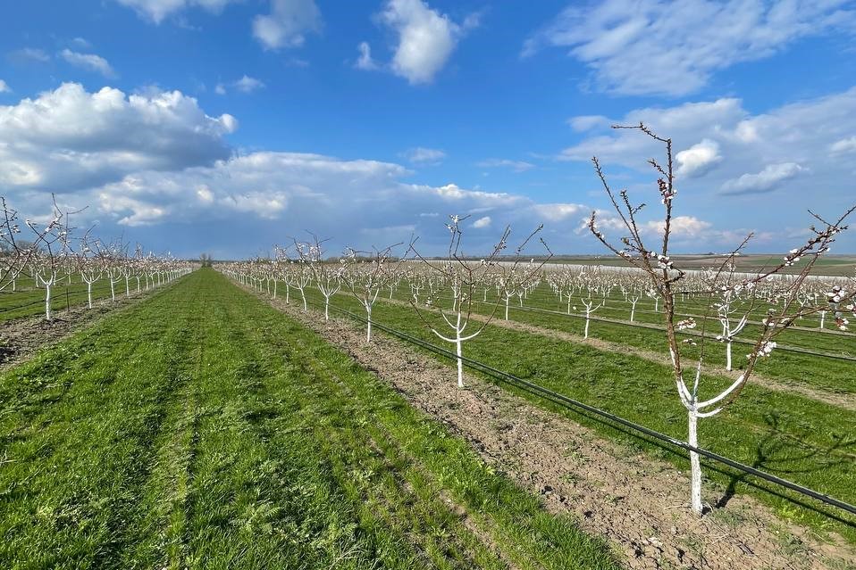 photo 2026 04 12 18 05 19land scape